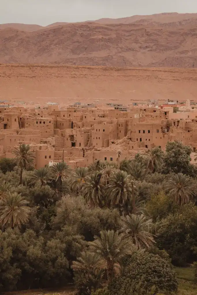 Marrakech Excursions with Atlastriptour 6