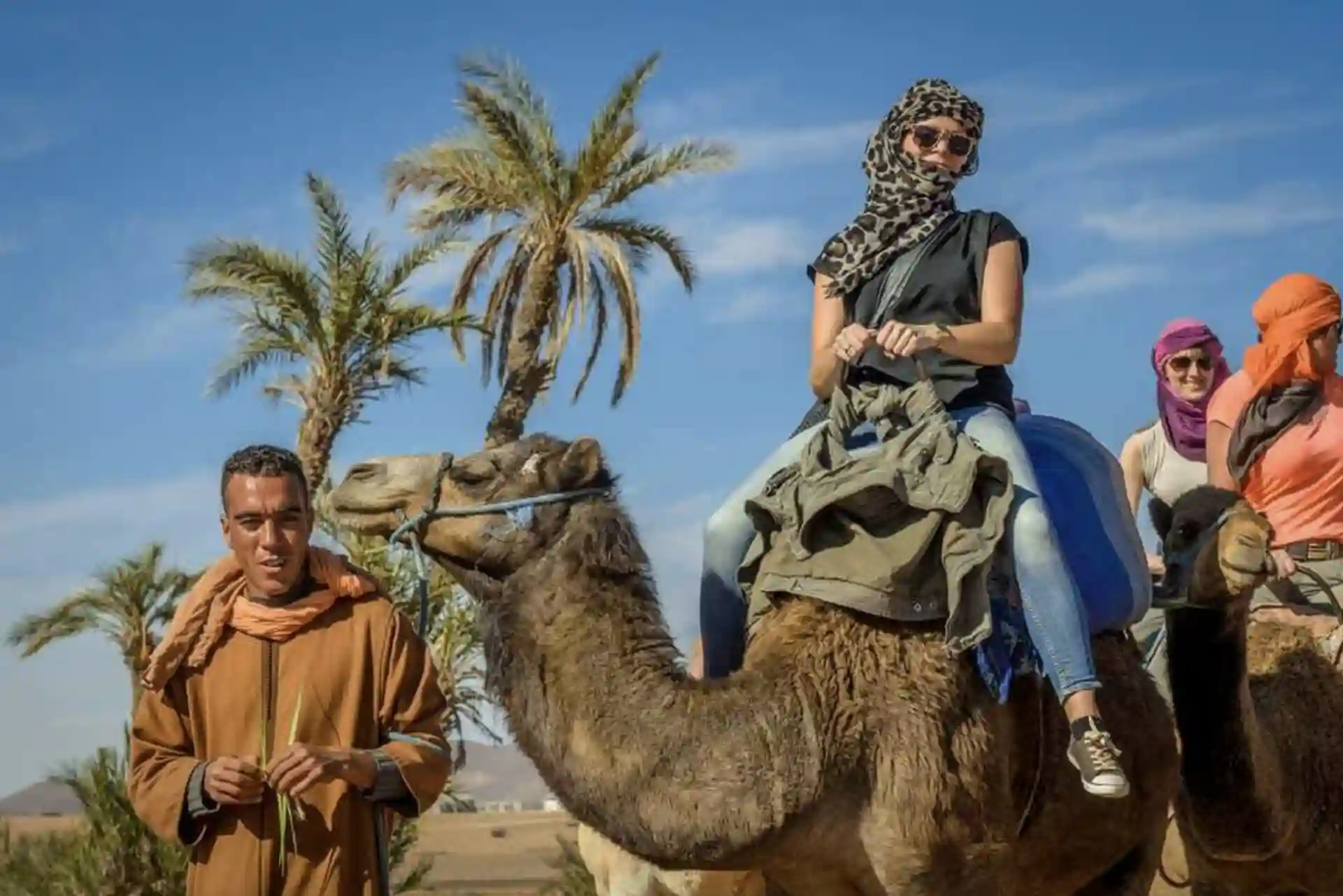 Camel Ride Palmeraie Marrakech