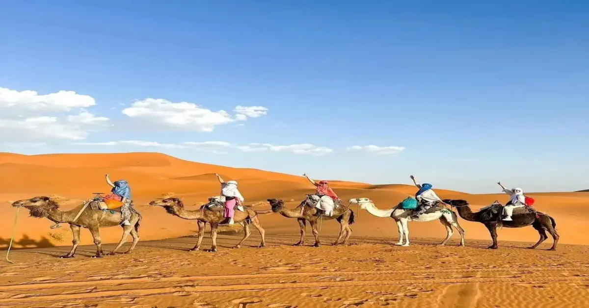 Morocco Sand Dunes and Oases Tour [8-Days Adventure]