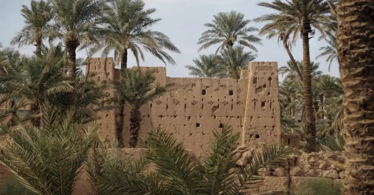 Oasis, Dunes, and Jbel of Tazzarine [8-Day Adventure]