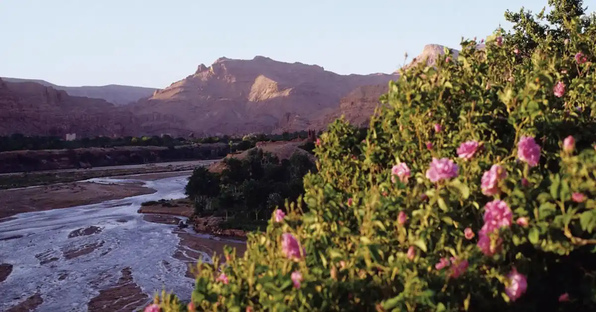 8-Days Valley of Roses Trekking in Morocco
